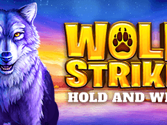 Wolf Strike game cover